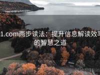 91.com两步读法：提升信息解读效率的智慧之道