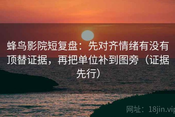 蜂鸟影院短复盘：先对齐情绪有没有顶替证据，再把单位补到图旁（证据先行）