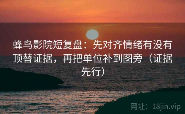 蜂鸟影院短复盘：先对齐情绪有没有顶替证据，再把单位补到图旁（证据先行）