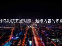 蜂鸟影院五点对照：越级内容的识别与处理