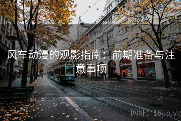 风车动漫的观影指南：前期准备与注意事项