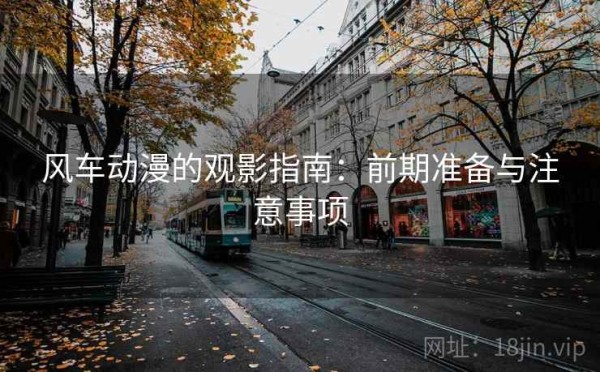 风车动漫的观影指南：前期准备与注意事项