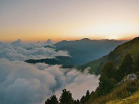 觅圈想评论前：先把因果词换成中性词，再核对结尾是不是强收束（把句子说白）