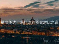 精准传达：黑料网的图文对比之道