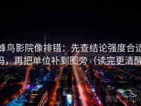 蜂鸟影院像排错：先查结论强度合适吗，再把单位补到图旁（读完更清醒）
