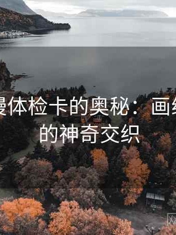 探索动漫体检卡的奥秘：画线与配乐的神奇交织