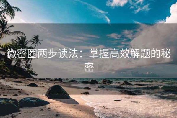 微密圈两步读法：掌握高效解题的秘密