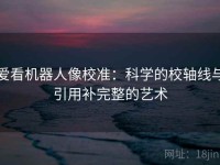 爱看机器人像校准：科学的校轴线与引用补完整的艺术