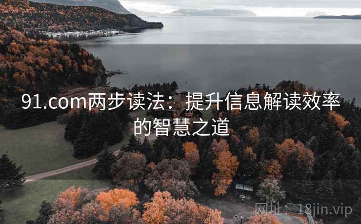 91.com两步读法：提升信息解读效率的智慧之道